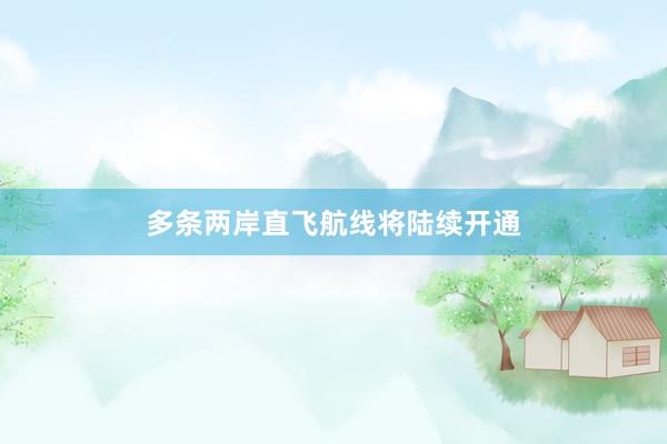 多条两岸直飞航线将陆续开通