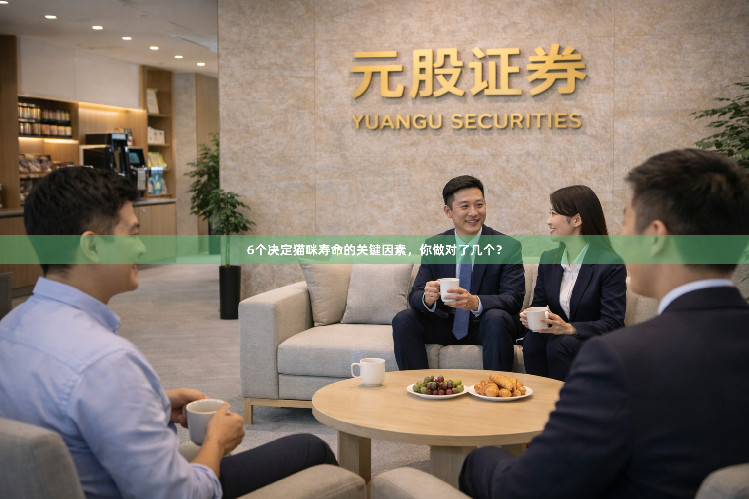 6个决定猫咪寿命的关键因素，你做对了几个？